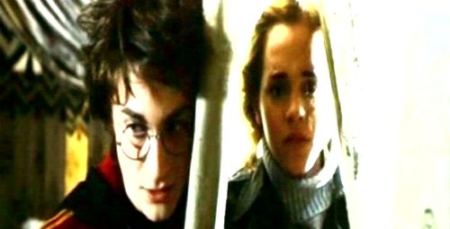 Harry & Hermione